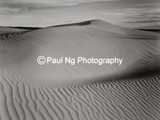 BWW-007 - Sand Dune & Crest
