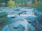 CWY-002 - Fall Colors, Greys River, Wyoming