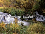CWY-018 - Fall Colors, Pine Creek